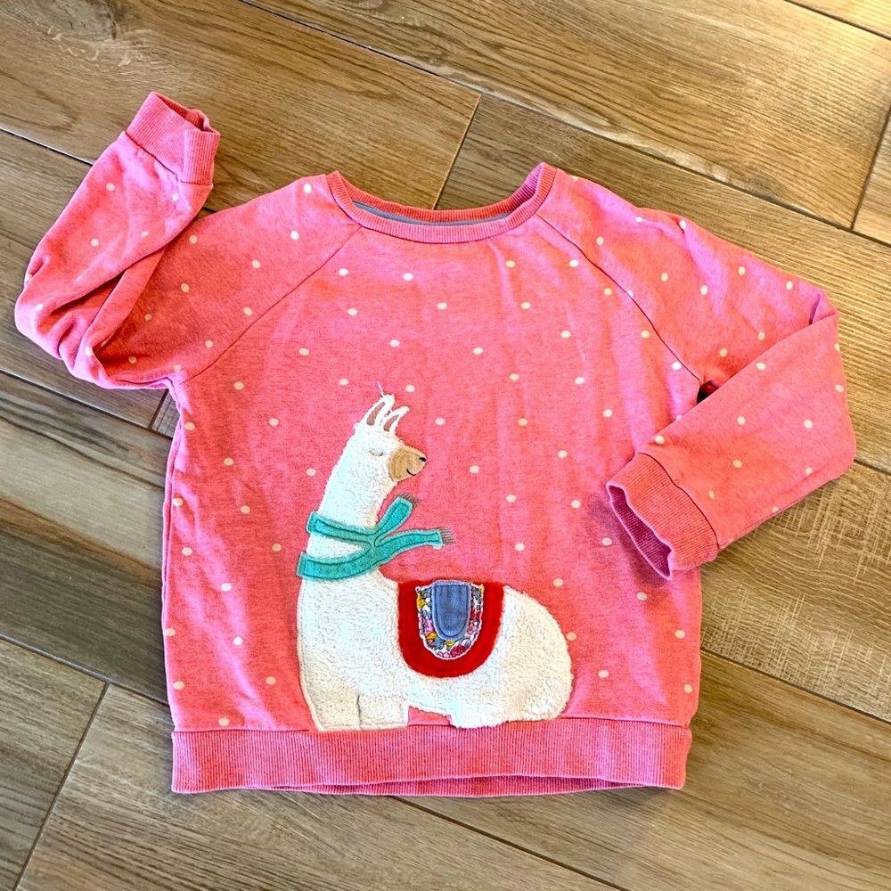 Girl’s Sweatshirt